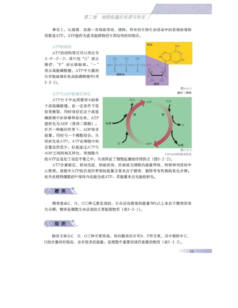 沪科版高中生物必修1《分子与细胞》电子课本_4-教培资料-26年最新资料-同步更新_初中高中教资_03科三专项（进去保存报考的学科即可）_112025高中科目（全）电子教材