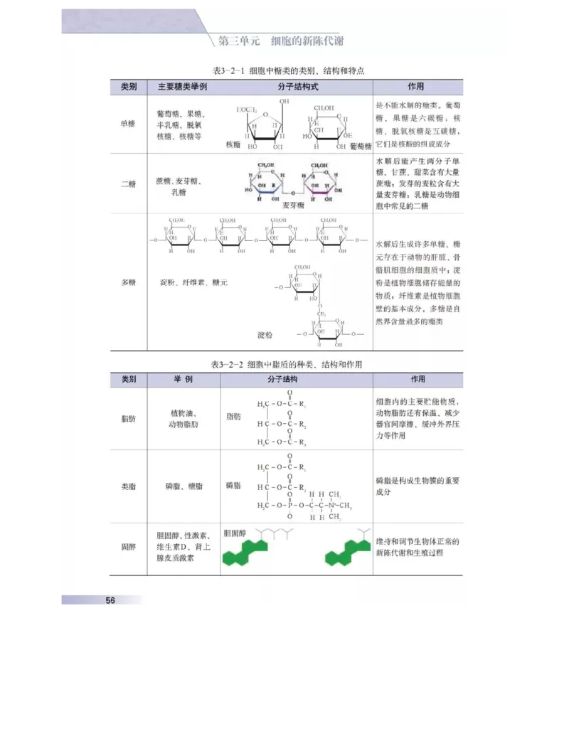 沪科版高中生物必修1《分子与细胞》电子课本_4-教培资料-26年最新资料-同步更新_初中高中教资_03科三专项（进去保存报考的学科即可）_112025高中科目（全）电子教材