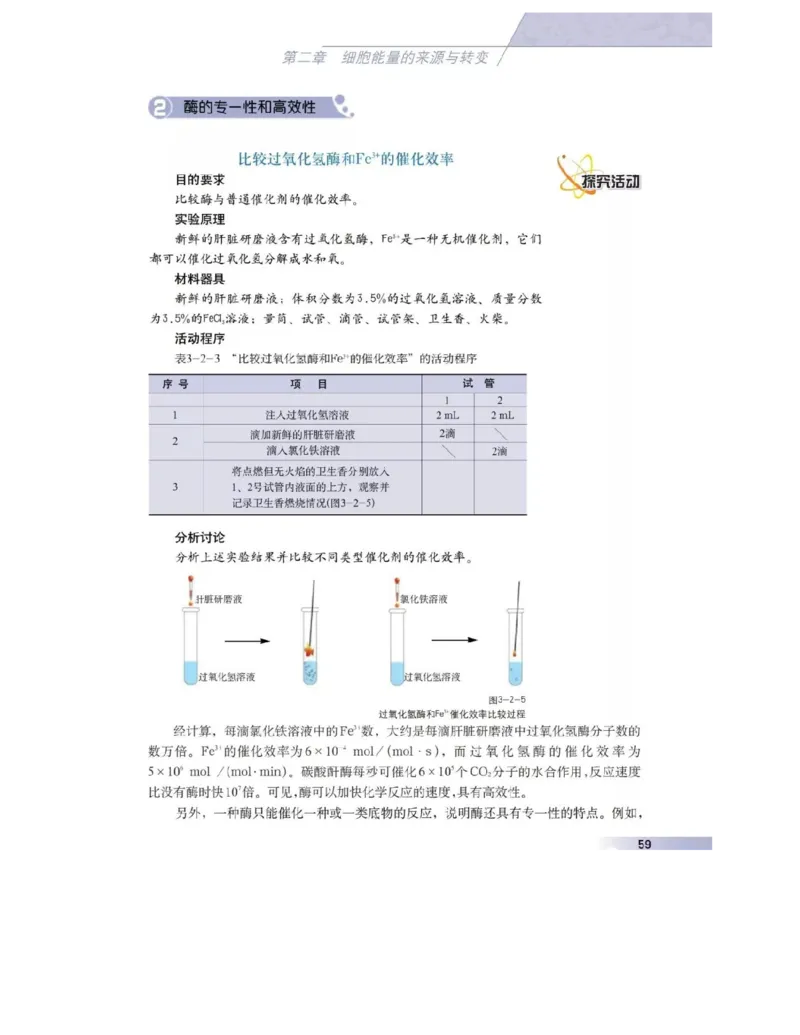 沪科版高中生物必修1《分子与细胞》电子课本_4-教培资料-26年最新资料-同步更新_初中高中教资_03科三专项（进去保存报考的学科即可）_112025高中科目（全）电子教材