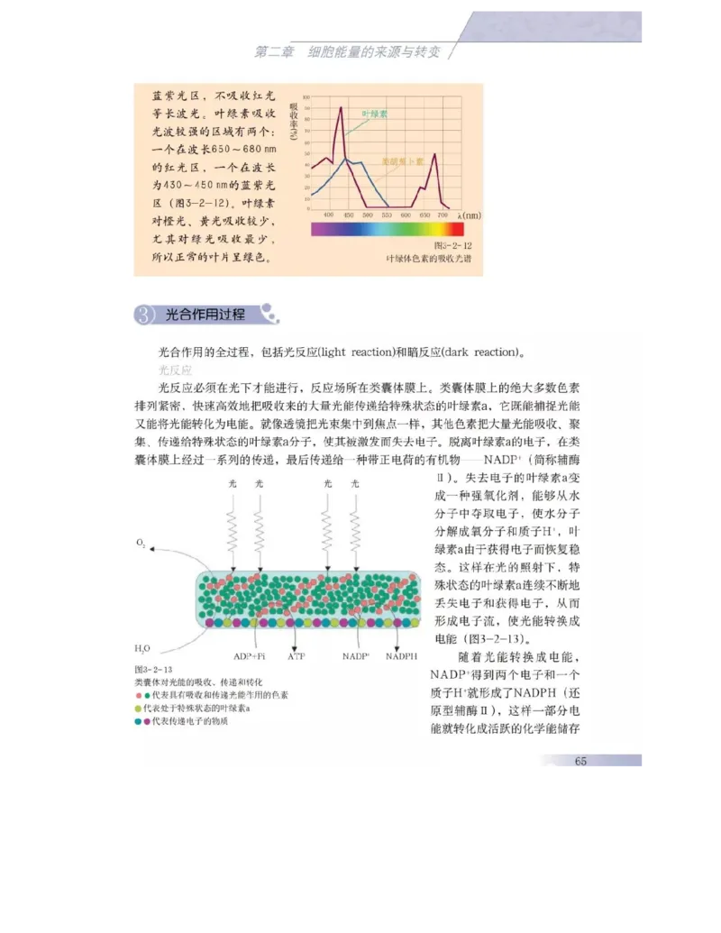 沪科版高中生物必修1《分子与细胞》电子课本_4-教培资料-26年最新资料-同步更新_初中高中教资_03科三专项（进去保存报考的学科即可）_112025高中科目（全）电子教材
