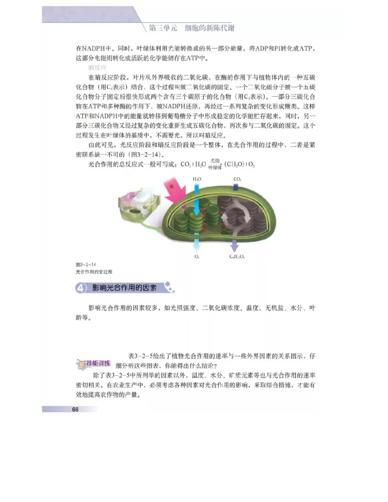 沪科版高中生物必修1《分子与细胞》电子课本_4-教培资料-26年最新资料-同步更新_初中高中教资_03科三专项（进去保存报考的学科即可）_112025高中科目（全）电子教材