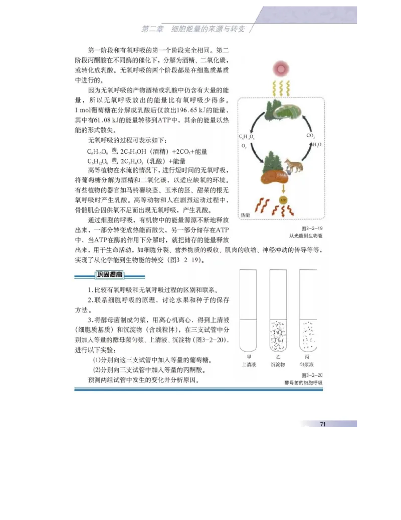 沪科版高中生物必修1《分子与细胞》电子课本_4-教培资料-26年最新资料-同步更新_初中高中教资_03科三专项（进去保存报考的学科即可）_112025高中科目（全）电子教材