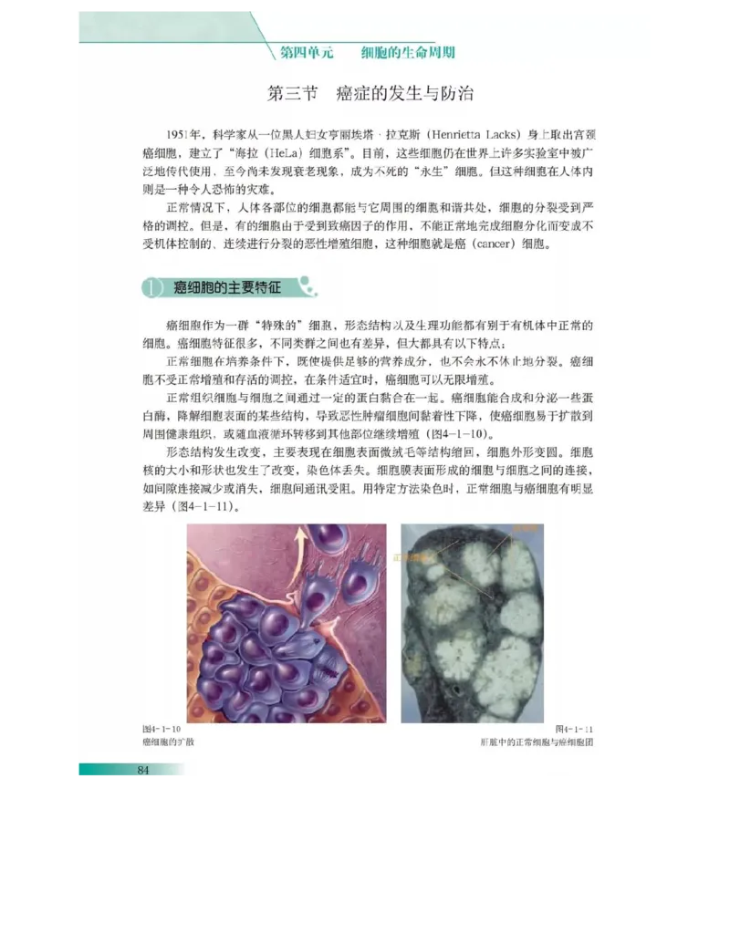 沪科版高中生物必修1《分子与细胞》电子课本_4-教培资料-26年最新资料-同步更新_初中高中教资_03科三专项（进去保存报考的学科即可）_112025高中科目（全）电子教材