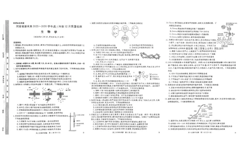 河南省新未来2025～2026学年高三年级12月质量检测生物_2025年12月_251220河南省新未来2025～2026学年高三年级12月质量检测（全科）