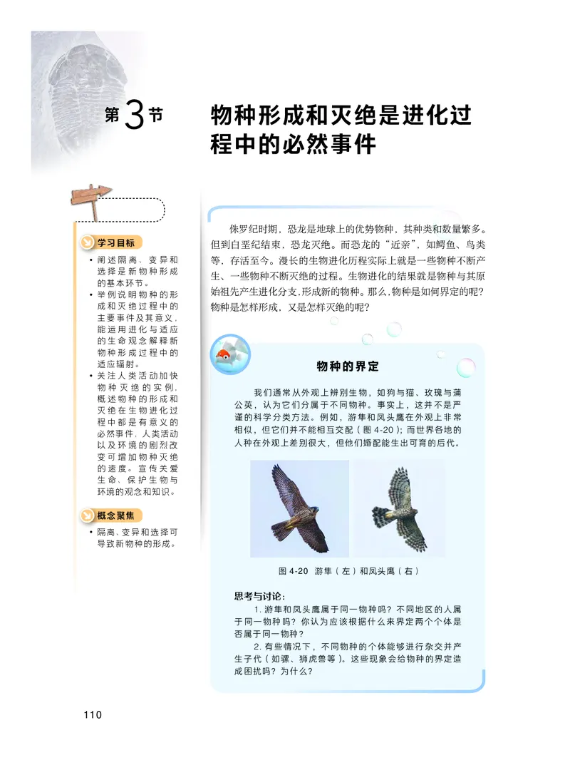 沪科技生物必修2高清教材_4-教培资料-26年最新资料-同步更新_初中高中教资_03科三专项（进去保存报考的学科即可）_02科三专项（笔记真题思维导图教学设计版本二）