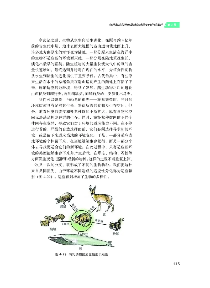 沪科技生物必修2高清教材_4-教培资料-26年最新资料-同步更新_初中高中教资_03科三专项（进去保存报考的学科即可）_02科三专项（笔记真题思维导图教学设计版本二）