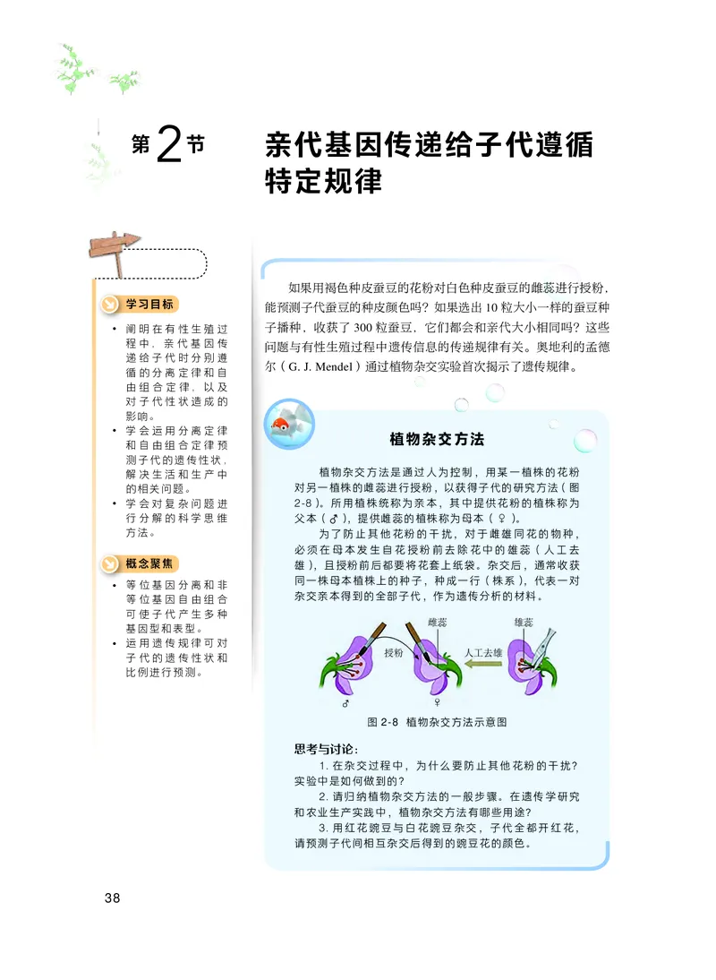 沪科技生物必修2高清教材_4-教培资料-26年最新资料-同步更新_初中高中教资_03科三专项（进去保存报考的学科即可）_02科三专项（笔记真题思维导图教学设计版本二）