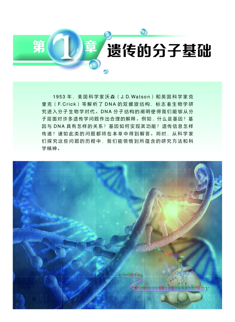 沪科技生物必修2高清教材_4-教培资料-26年最新资料-同步更新_初中高中教资_03科三专项（进去保存报考的学科即可）_02科三专项（笔记真题思维导图教学设计版本二）