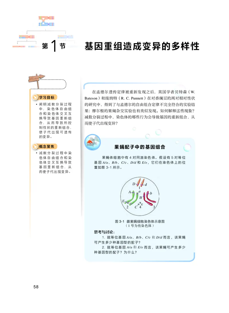 沪科技生物必修2高清教材_4-教培资料-26年最新资料-同步更新_初中高中教资_03科三专项（进去保存报考的学科即可）_02科三专项（笔记真题思维导图教学设计版本二）