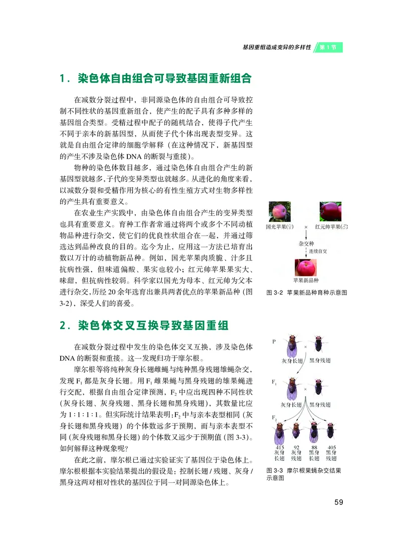 沪科技生物必修2高清教材_4-教培资料-26年最新资料-同步更新_初中高中教资_03科三专项（进去保存报考的学科即可）_02科三专项（笔记真题思维导图教学设计版本二）