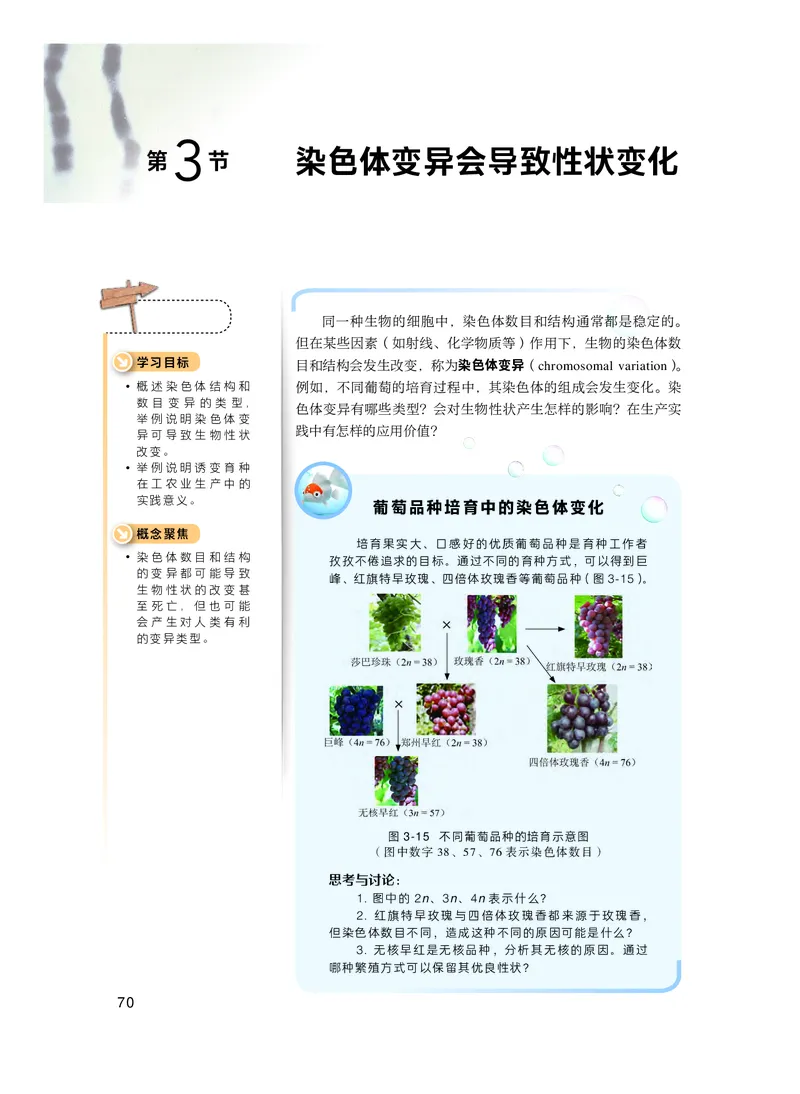 沪科技生物必修2高清教材_4-教培资料-26年最新资料-同步更新_初中高中教资_03科三专项（进去保存报考的学科即可）_02科三专项（笔记真题思维导图教学设计版本二）