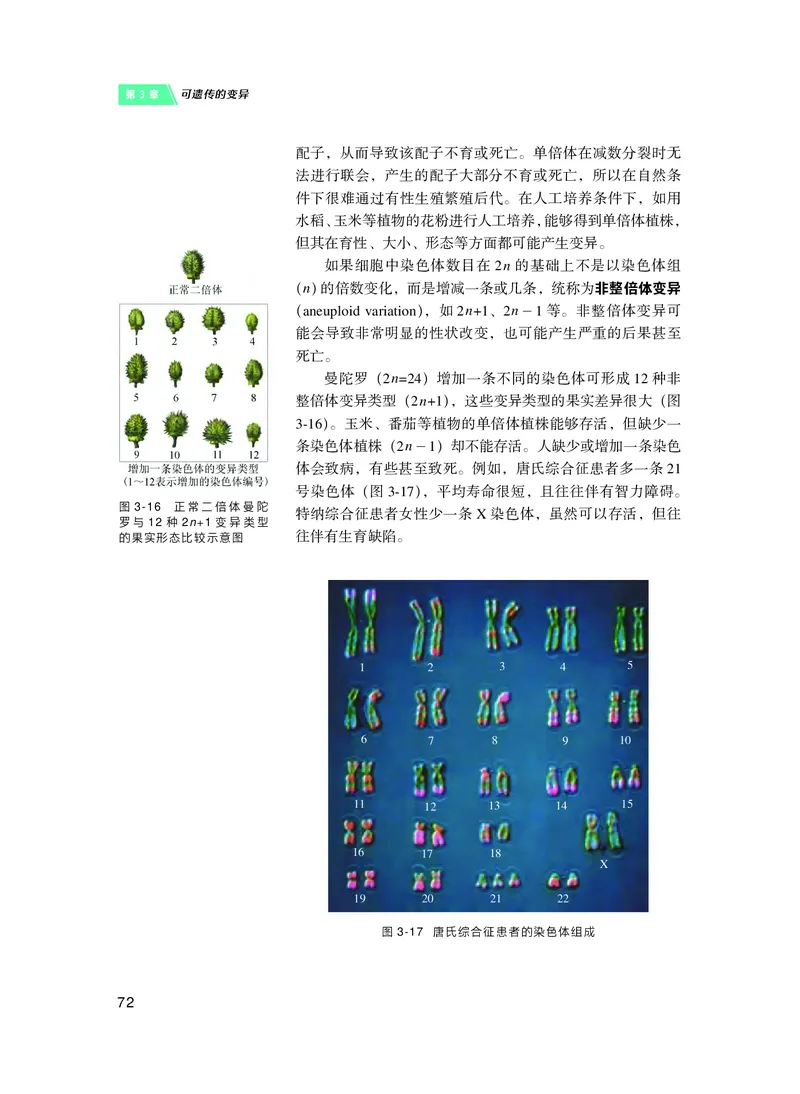 沪科技生物必修2高清教材_4-教培资料-26年最新资料-同步更新_初中高中教资_03科三专项（进去保存报考的学科即可）_02科三专项（笔记真题思维导图教学设计版本二）