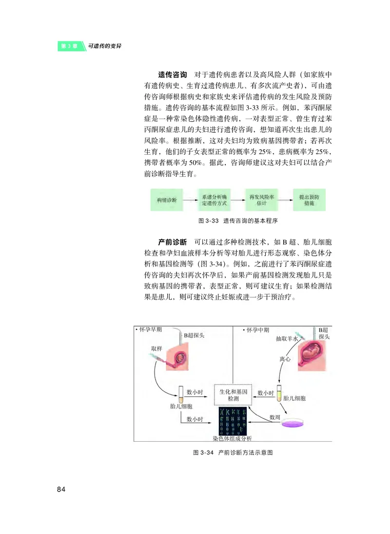 沪科技生物必修2高清教材_4-教培资料-26年最新资料-同步更新_初中高中教资_03科三专项（进去保存报考的学科即可）_02科三专项（笔记真题思维导图教学设计版本二）