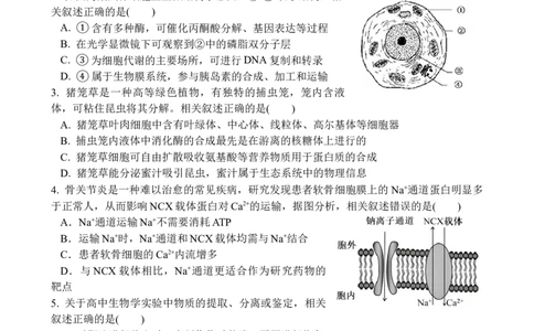 江苏省无锡市江阴市三校联考2025-2026学年高三上学期12月月考生物试题_2025年12月_251215江苏省无锡市江阴市三校联考2025-2026学年高三上学期12月月考（全科）