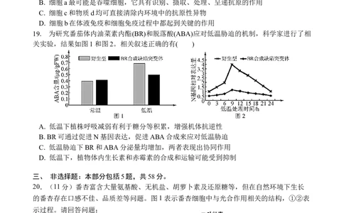 江苏省无锡市江阴市三校联考2025-2026学年高三上学期12月月考生物试题_2025年12月_251215江苏省无锡市江阴市三校联考2025-2026学年高三上学期12月月考（全科）