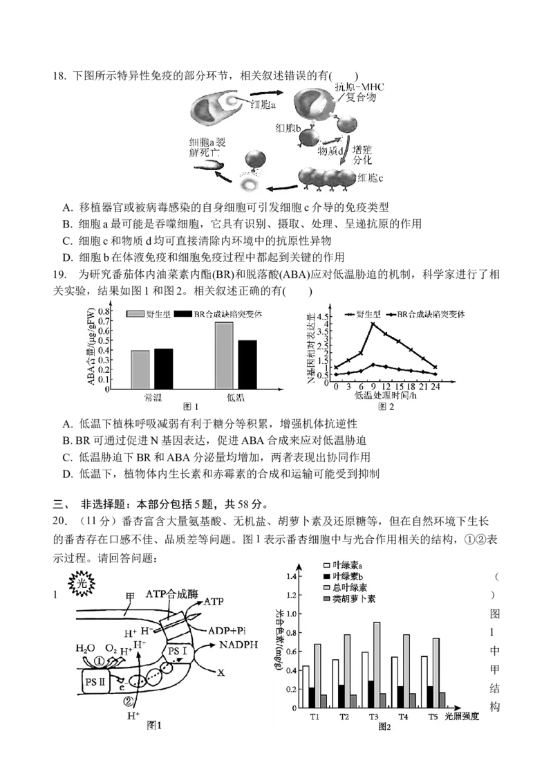 江苏省无锡市江阴市三校联考2025-2026学年高三上学期12月月考生物试题_2025年12月_251215江苏省无锡市江阴市三校联考2025-2026学年高三上学期12月月考（全科）
