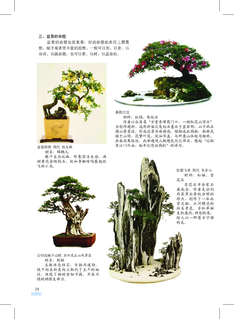 沪教版7年级美术上册高清教材_4-教培资料-26年最新资料-同步更新_初中高中教资_03科三专项（进去保存报考的学科即可）_02科三专项（笔记真题思维导图教学设计版本二）