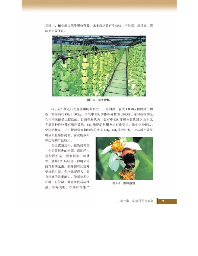 浙科版高中生物选修2《生物科学与社会》电子课本_4-教培资料-26年最新资料-同步更新_初中高中教资_03科三专项（进去保存报考的学科即可）_112025高中科目（全）电子教材