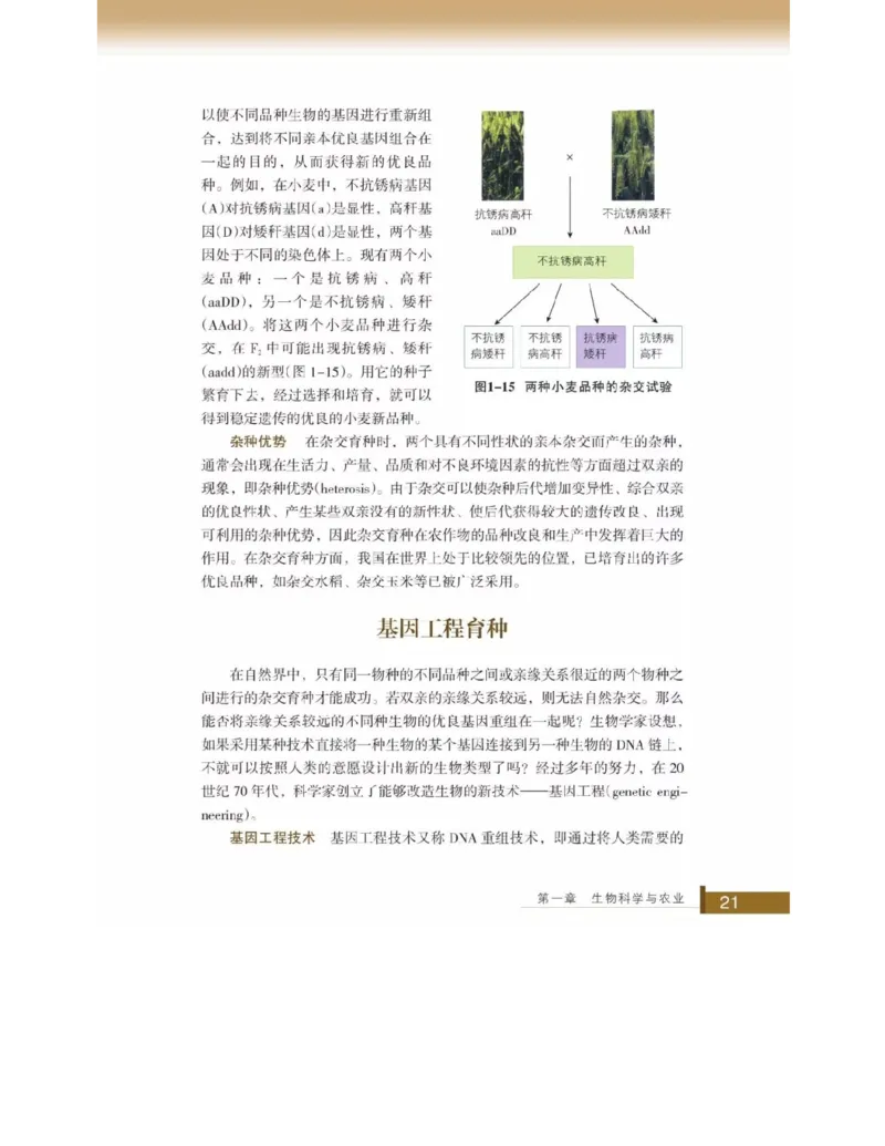 浙科版高中生物选修2《生物科学与社会》电子课本_4-教培资料-26年最新资料-同步更新_初中高中教资_03科三专项（进去保存报考的学科即可）_112025高中科目（全）电子教材