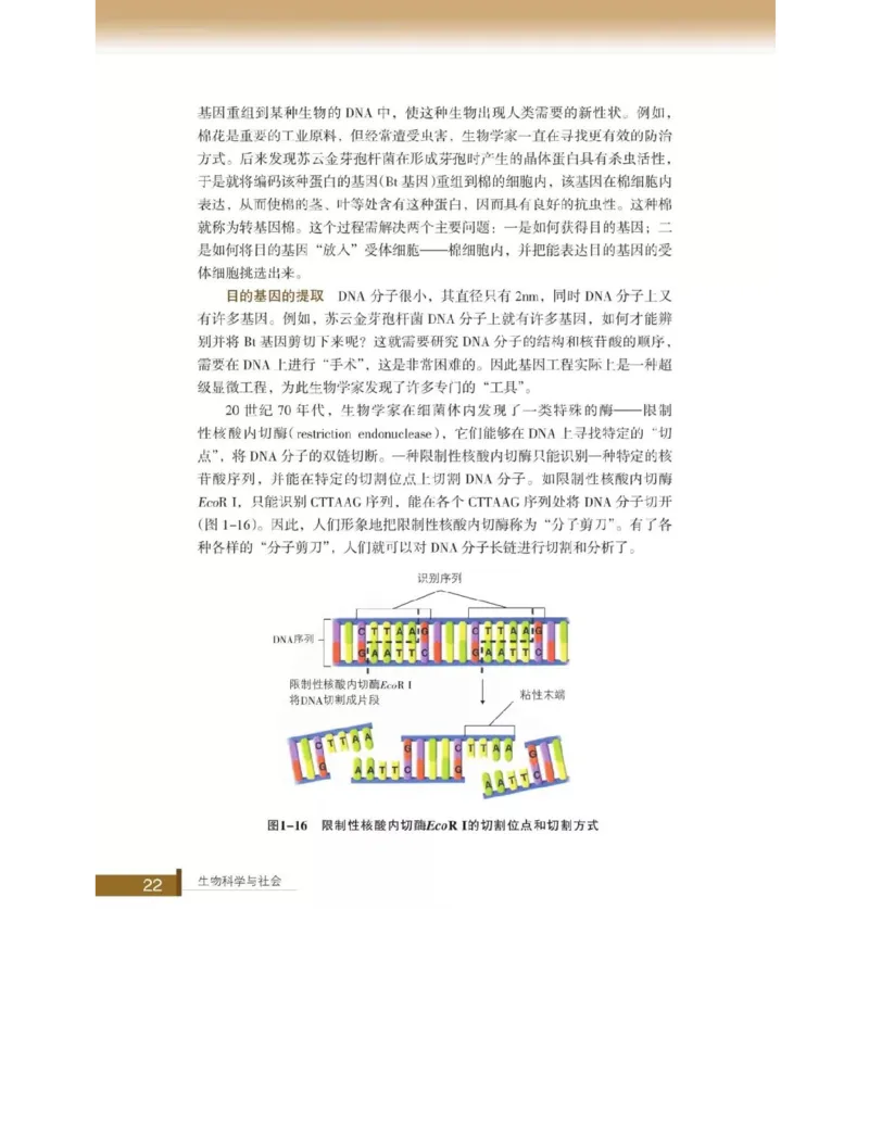 浙科版高中生物选修2《生物科学与社会》电子课本_4-教培资料-26年最新资料-同步更新_初中高中教资_03科三专项（进去保存报考的学科即可）_112025高中科目（全）电子教材