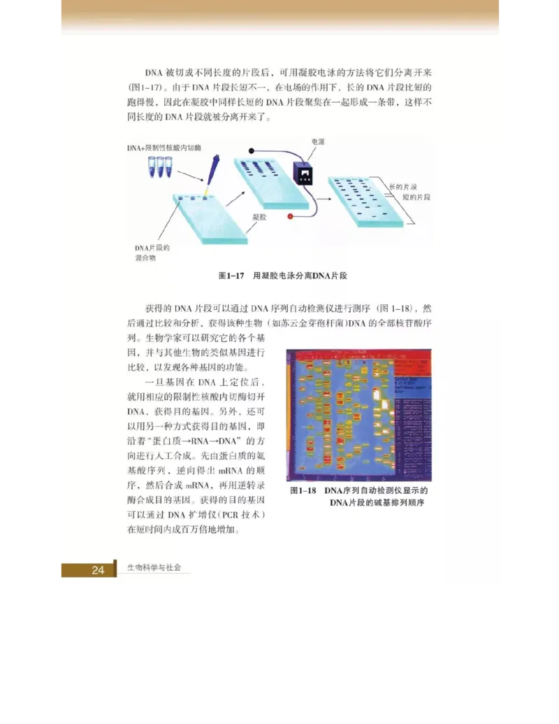 浙科版高中生物选修2《生物科学与社会》电子课本_4-教培资料-26年最新资料-同步更新_初中高中教资_03科三专项（进去保存报考的学科即可）_112025高中科目（全）电子教材