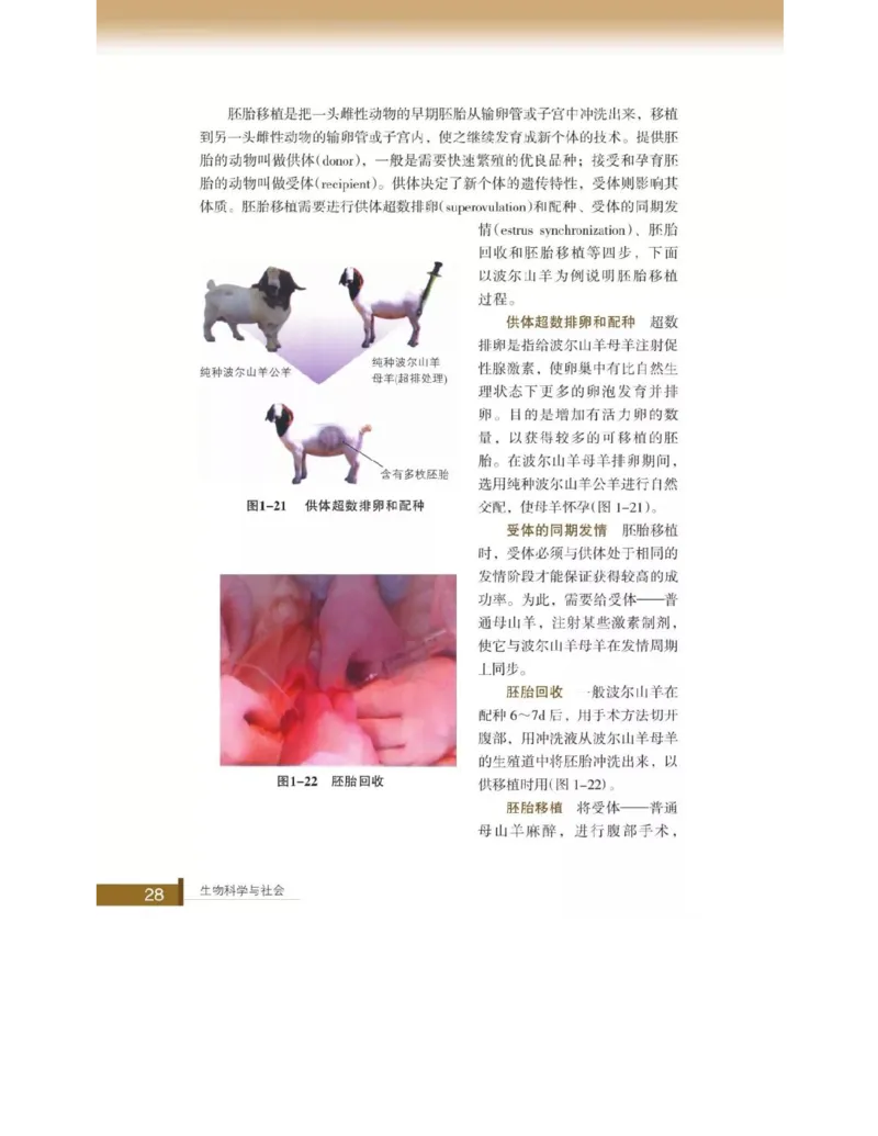 浙科版高中生物选修2《生物科学与社会》电子课本_4-教培资料-26年最新资料-同步更新_初中高中教资_03科三专项（进去保存报考的学科即可）_112025高中科目（全）电子教材