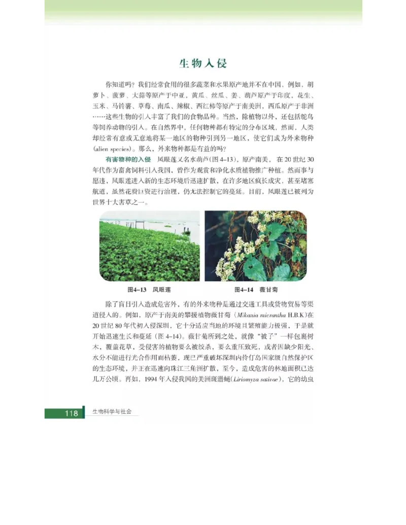 浙科版高中生物选修2《生物科学与社会》电子课本_4-教培资料-26年最新资料-同步更新_初中高中教资_03科三专项（进去保存报考的学科即可）_112025高中科目（全）电子教材