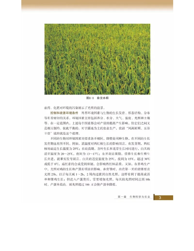 浙科版高中生物选修2《生物科学与社会》电子课本_4-教培资料-26年最新资料-同步更新_初中高中教资_03科三专项（进去保存报考的学科即可）_112025高中科目（全）电子教材