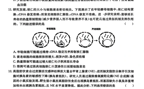 生物试卷(26-118C)_251129广东省金太阳2026届高三上学期11月联考（全科）