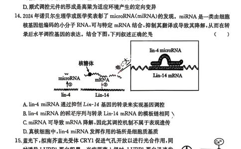 生物试卷(26-118C)_251129广东省金太阳2026届高三上学期11月联考（全科）