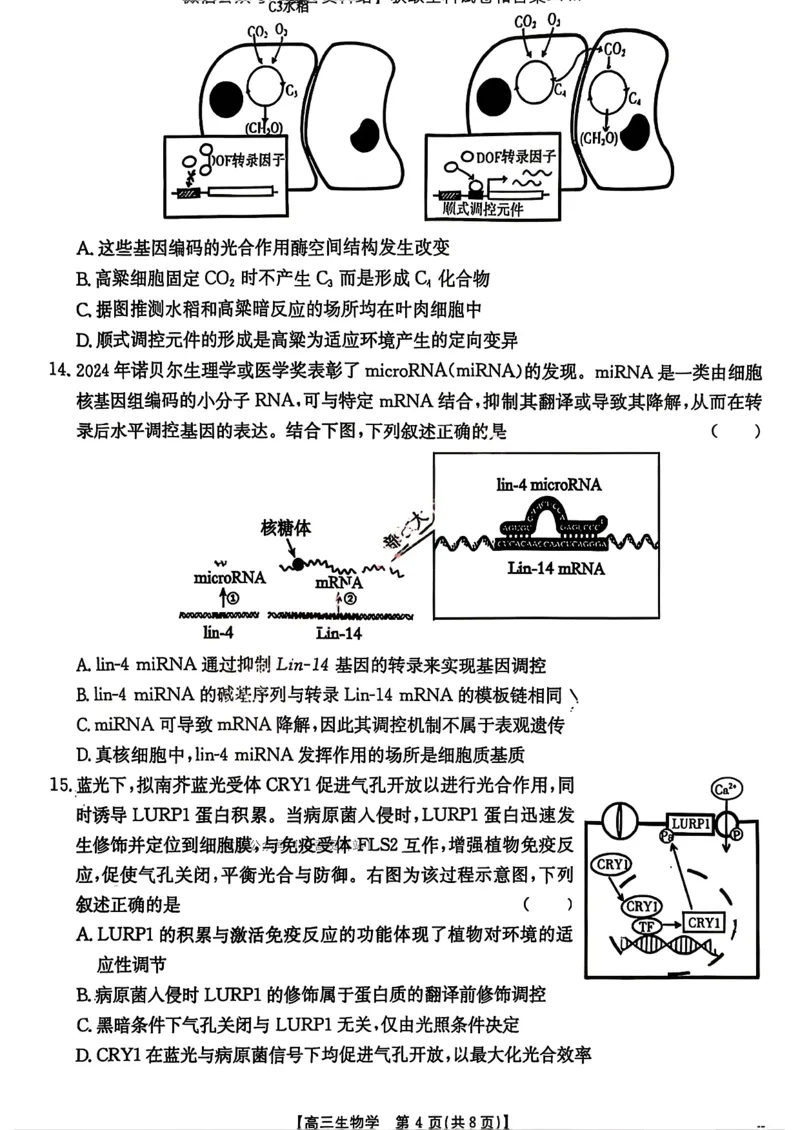 生物试卷(26-118C)_251129广东省金太阳2026届高三上学期11月联考（全科）