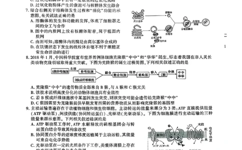 江西省九校2025-2026学年高三上学期11月期中考试生物试卷（含答案）_251120江西省九校2025-2026学年高三上学期11月期中考试（全科）