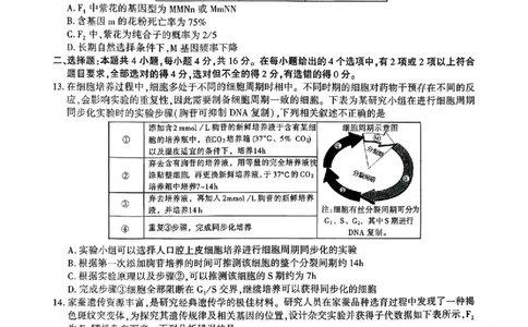 江西省九校2025-2026学年高三上学期11月期中考试生物试卷（含答案）_251120江西省九校2025-2026学年高三上学期11月期中考试（全科）