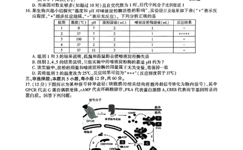 江西省九校2025-2026学年高三上学期11月期中考试生物试卷（含答案）_251120江西省九校2025-2026学年高三上学期11月期中考试（全科）