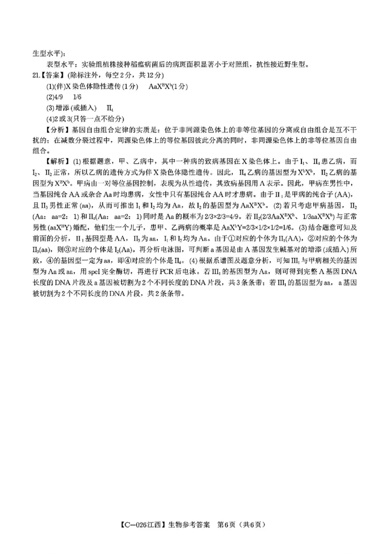 江西省九校2025-2026学年高三上学期11月期中考试生物试卷（含答案）_251120江西省九校2025-2026学年高三上学期11月期中考试（全科）