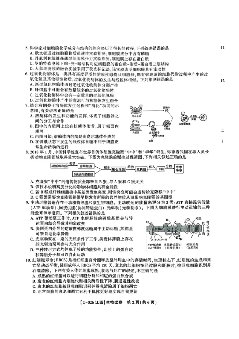 江西省九校2025-2026学年高三上学期11月期中考试生物试卷（含答案）_251120江西省九校2025-2026学年高三上学期11月期中考试（全科）