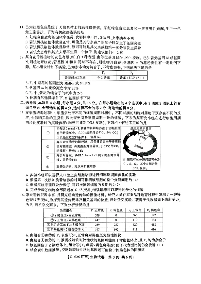 江西省九校2025-2026学年高三上学期11月期中考试生物试卷（含答案）_251120江西省九校2025-2026学年高三上学期11月期中考试（全科）