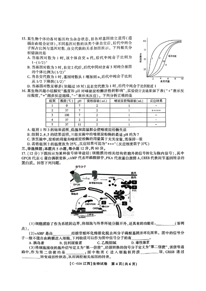 江西省九校2025-2026学年高三上学期11月期中考试生物试卷（含答案）_251120江西省九校2025-2026学年高三上学期11月期中考试（全科）