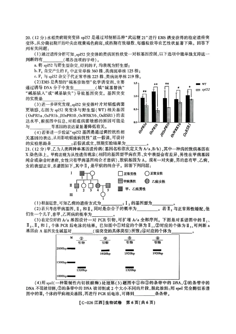 江西省九校2025-2026学年高三上学期11月期中考试生物试卷（含答案）_251120江西省九校2025-2026学年高三上学期11月期中考试（全科）