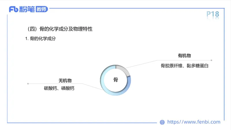 理论精讲-运动解剖学2_4-教培资料-26年最新资料-同步更新_科一科二电子资料合集中小幼（笔记真题知识点汇总等）文件多，按需保存_各机构笔记合集（中小幼）推荐_1理论精讲
