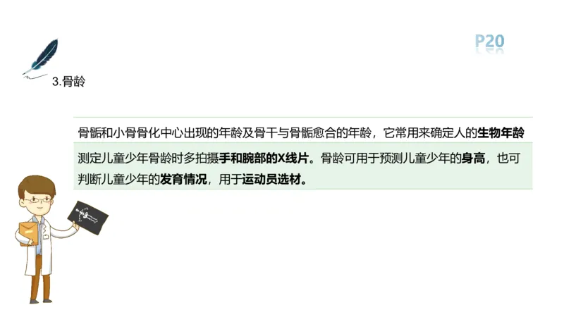 理论精讲-运动解剖学2_4-教培资料-26年最新资料-同步更新_科一科二电子资料合集中小幼（笔记真题知识点汇总等）文件多，按需保存_各机构笔记合集（中小幼）推荐_1理论精讲