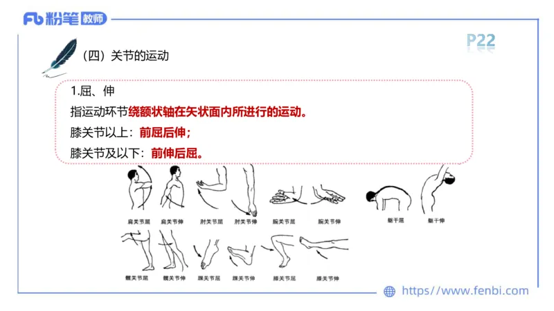理论精讲-运动解剖学2_4-教培资料-26年最新资料-同步更新_科一科二电子资料合集中小幼（笔记真题知识点汇总等）文件多，按需保存_各机构笔记合集（中小幼）推荐_1理论精讲