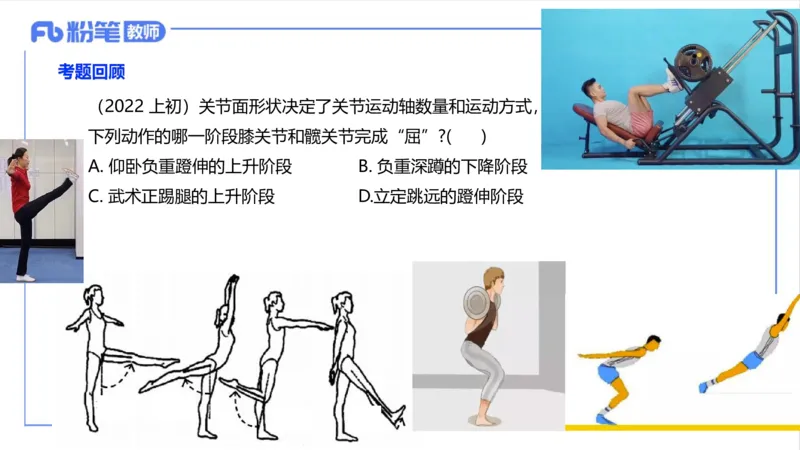 理论精讲-运动解剖学2_4-教培资料-26年最新资料-同步更新_科一科二电子资料合集中小幼（笔记真题知识点汇总等）文件多，按需保存_各机构笔记合集（中小幼）推荐_1理论精讲