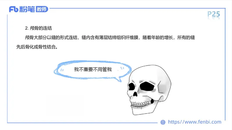 理论精讲-运动解剖学2_4-教培资料-26年最新资料-同步更新_科一科二电子资料合集中小幼（笔记真题知识点汇总等）文件多，按需保存_各机构笔记合集（中小幼）推荐_1理论精讲