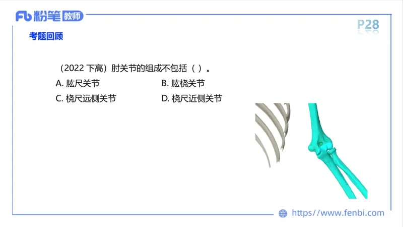 理论精讲-运动解剖学2_4-教培资料-26年最新资料-同步更新_科一科二电子资料合集中小幼（笔记真题知识点汇总等）文件多，按需保存_各机构笔记合集（中小幼）推荐_1理论精讲