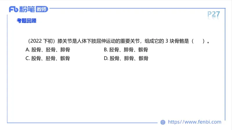 理论精讲-运动解剖学2_4-教培资料-26年最新资料-同步更新_科一科二电子资料合集中小幼（笔记真题知识点汇总等）文件多，按需保存_各机构笔记合集（中小幼）推荐_1理论精讲