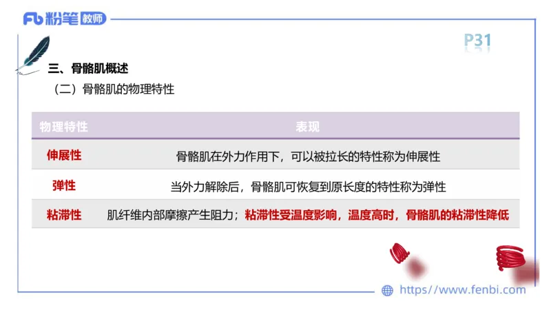 理论精讲-运动解剖学2_4-教培资料-26年最新资料-同步更新_科一科二电子资料合集中小幼（笔记真题知识点汇总等）文件多，按需保存_各机构笔记合集（中小幼）推荐_1理论精讲