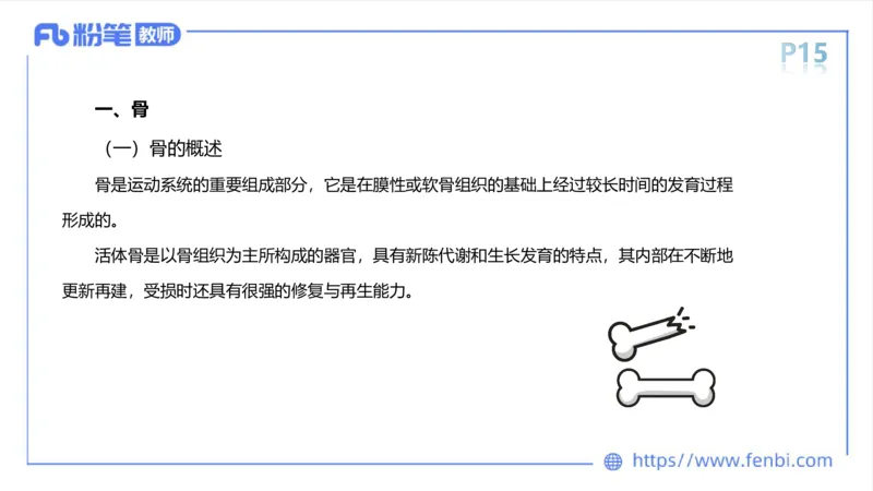 理论精讲-运动解剖学2_4-教培资料-26年最新资料-同步更新_科一科二电子资料合集中小幼（笔记真题知识点汇总等）文件多，按需保存_各机构笔记合集（中小幼）推荐_1理论精讲