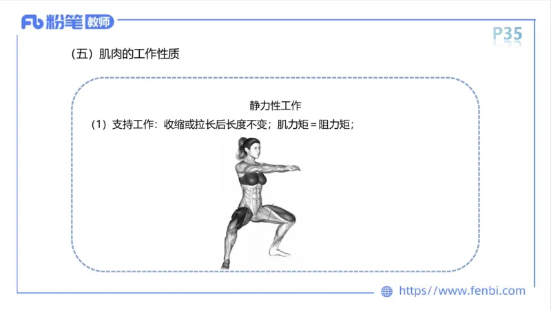 理论精讲-运动解剖学2_4-教培资料-26年最新资料-同步更新_科一科二电子资料合集中小幼（笔记真题知识点汇总等）文件多，按需保存_各机构笔记合集（中小幼）推荐_1理论精讲