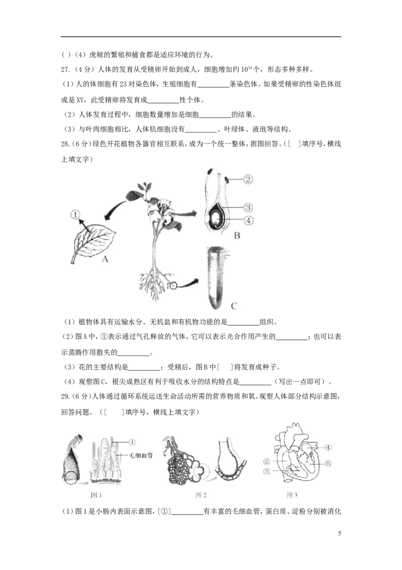 福建省2018年中考生物真题试题（含答案）_中考真题_8.生物中考真题2015-2024年_2018年全国中考生物141份
